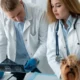 clinical trials solutions for animal health