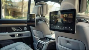 rear seat entertainment system