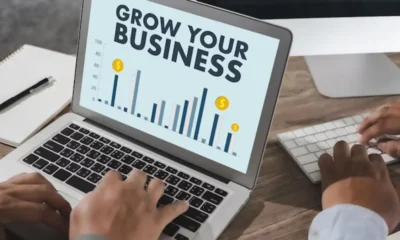 grow google business profile audience