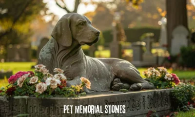 pet memorial stones