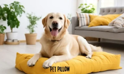 pet pillow