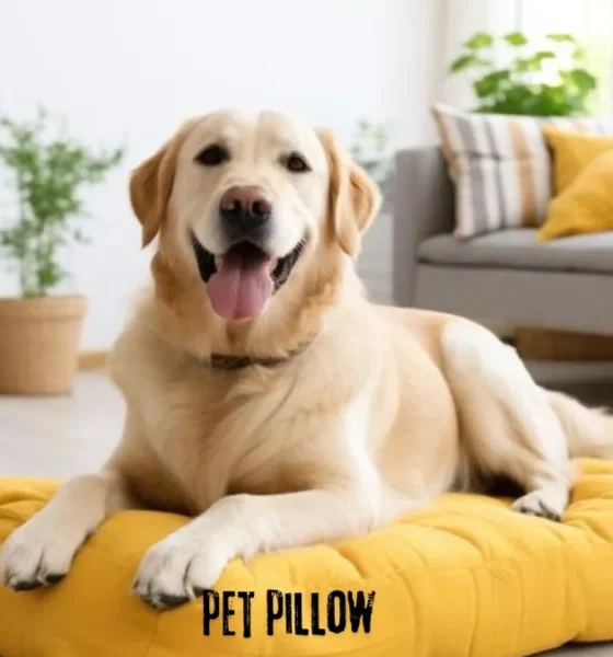 pet pillow