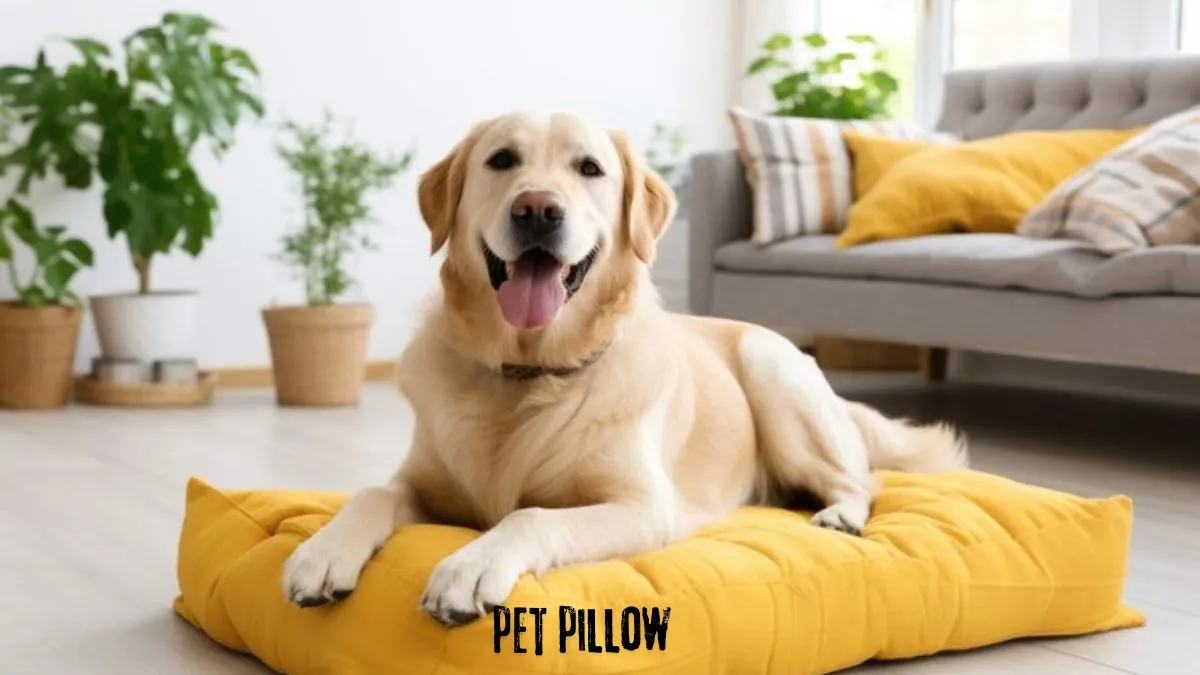 pet pillow