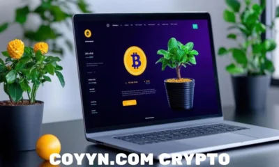 coyyn.com crypto