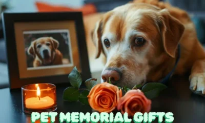 pet memorial gifts