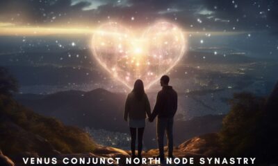 venus conjunct north node synastry