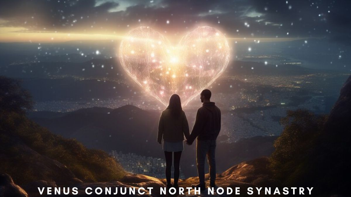 venus conjunct north node synastry