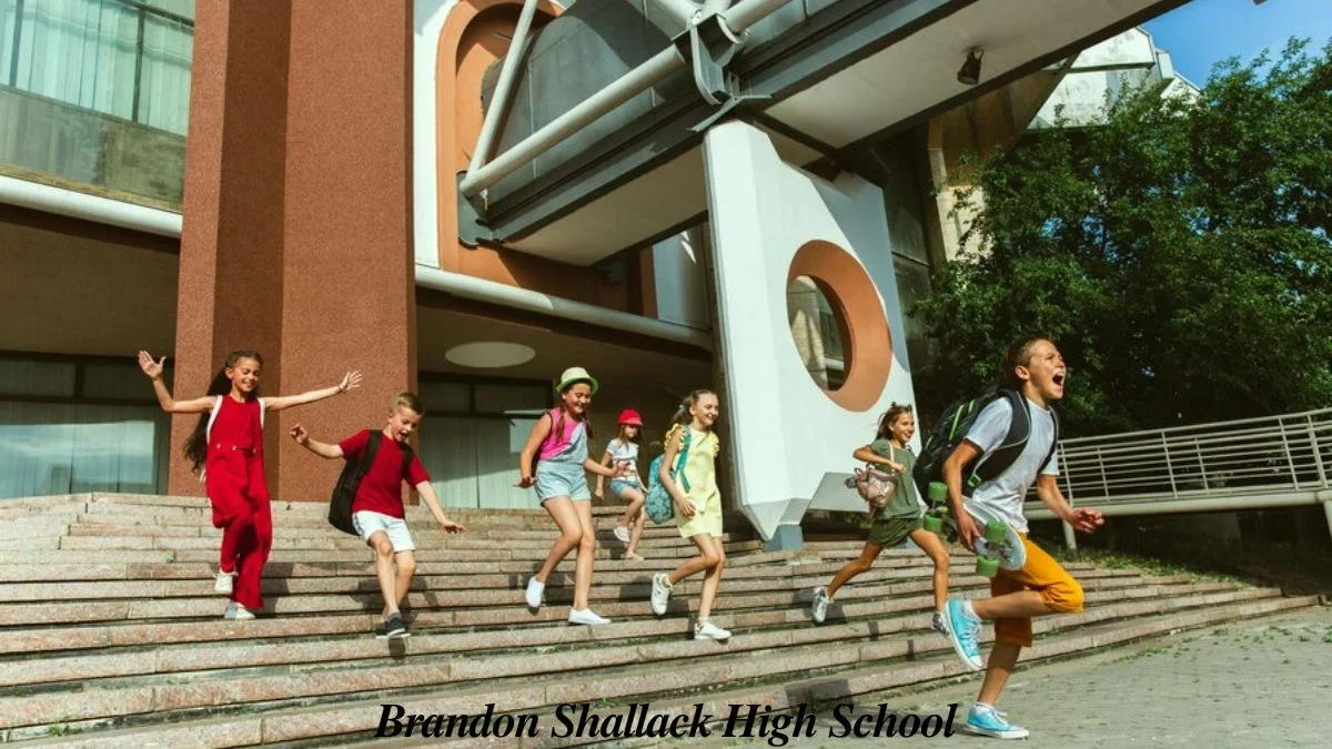 brandon shallack high school